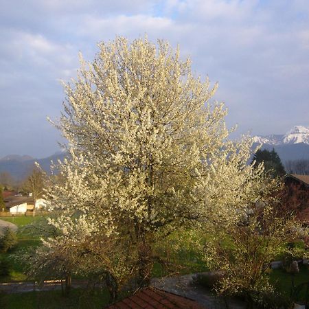 Apartments Donebauer Übersee Zewnętrze zdjęcie