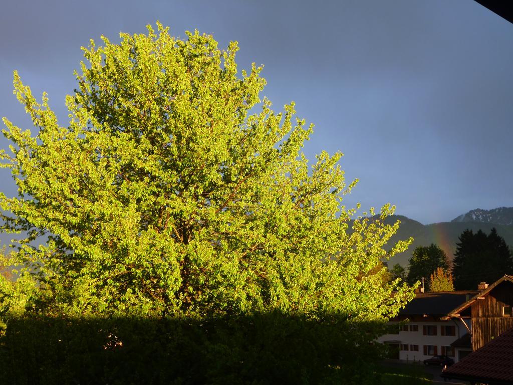 Apartments Donebauer Übersee Zewnętrze zdjęcie